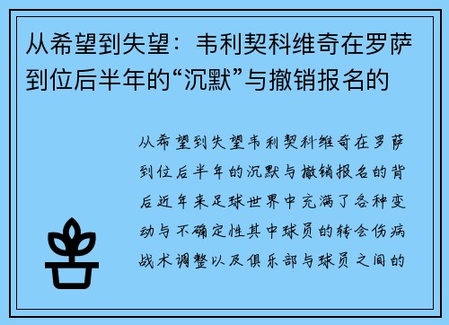 从希望到失望：韦利契科维奇在罗萨到位后半年的“沉默”与撤销报名的背后